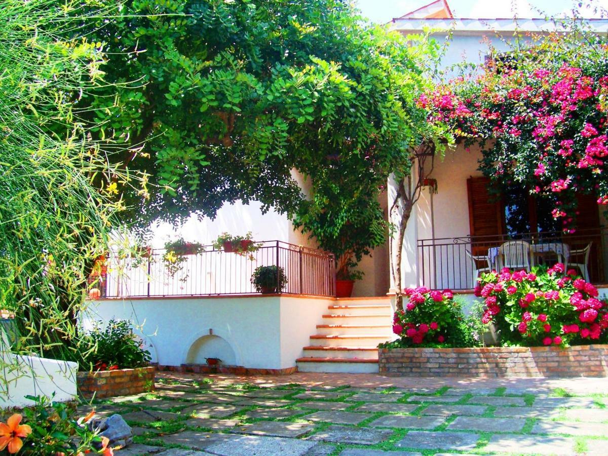 B&B La Casa Del Gelso Acquafredda Exterior photo