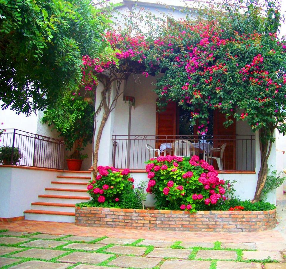 B&B La Casa Del Gelso Acquafredda Exterior photo