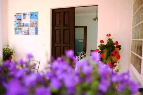 B&B La Casa Del Gelso Acquafredda Exterior photo