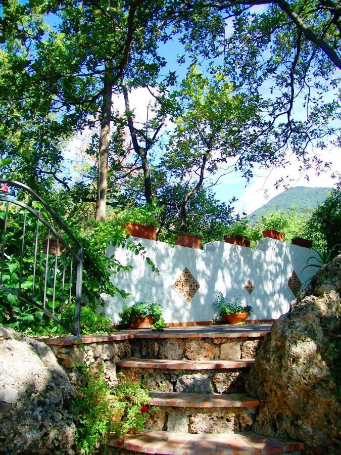 B&B La Casa Del Gelso Acquafredda Exterior photo