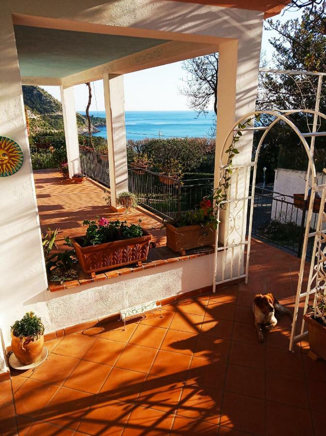 B&B La Casa Del Gelso Acquafredda Exterior photo