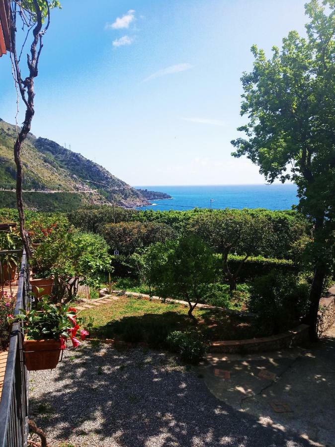 B&B La Casa Del Gelso Acquafredda Exterior photo